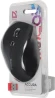Мышь Defender Accura MM-295 черный оптическая 1600dpi беспров. USB 6but (52295)
