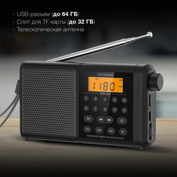 Радиоприемник портативный Hyundai H-PSR115 черный USB microSD Радиоприемник портативный Hyundai H-PSR115 черный USB microSD