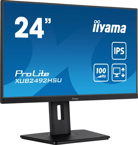 Монитор Iiyama 23.8" ProLite XUB2492HSU-B6 черный IPS LED 0.4ms 16:9 HDMI M/M матовая HAS Piv 250cd 178гр/178гр 1920x1080 100Hz DP FHD USB 4.9кг Монитор Iiyama 23.8" ProLite XUB2492HSU-B6 черный IPS LED 0.4ms 16:9 HDMI M/M матовая HAS Piv 250cd 178гр/178гр 1920x1080 100Hz DP FHD USB 4.9кг