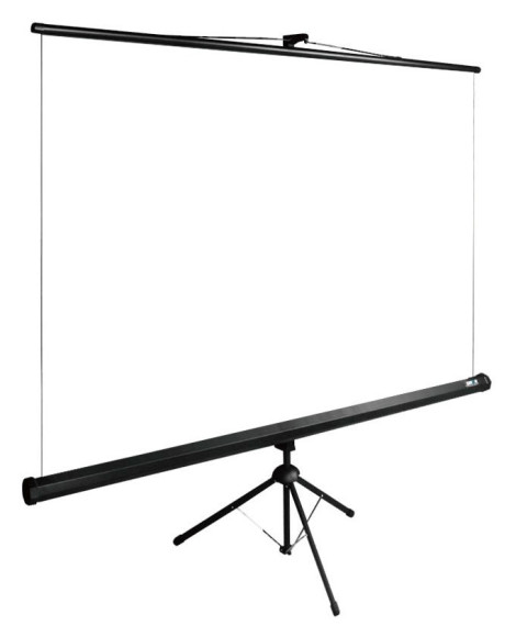 Экран Cactus 89" 160x160см TriExpert CS-PSTE-160x160-BK 1:1 напольный рулонный черный