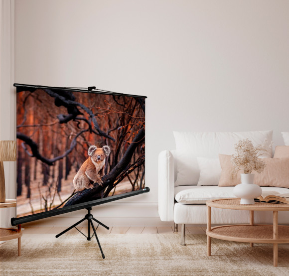 Экран Cactus 89" 160x160см TriExpert CS-PSTE-160x160-BK 1:1 напольный рулонный черный