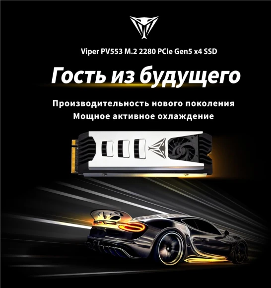 Накопитель SSD Patriot PCIe 5.0 x4 1TB PV553P1TBM28H PV553 M.2 2280 Накопитель SSD Patriot PCIe 5.0 x4 1TB PV553P1TBM28H PV553 M.2 2280
