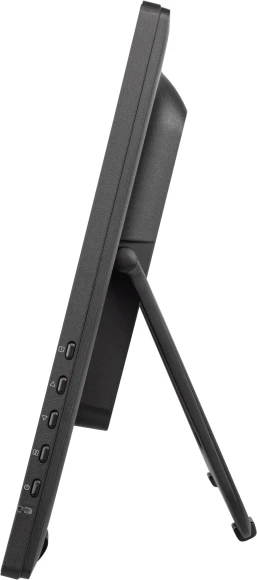 Монитор Iiyama 23.8" ProLite T2455MSC-B2 черный IPS LED 16:9 HDMI M/M Cam глянцевая 400cd 178гр/178гр 1920x1080 60Hz DP FHD USB Touch 4.4кг