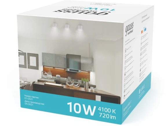 Светильник Gauss Overhead потолоч. 10Вт 4100K цв.св.:белый нейтральный белый (HD024)