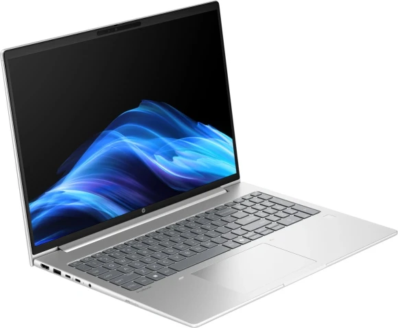 Ноутбук HP ProBook 4 G1i Core Ultra 5 225U 16Gb SSD256Gb Intel Graphics 16" IPS WUXGA (1920x1200) Windows 11 Pro silver WiFi BT Cam (BB3Q4UT)