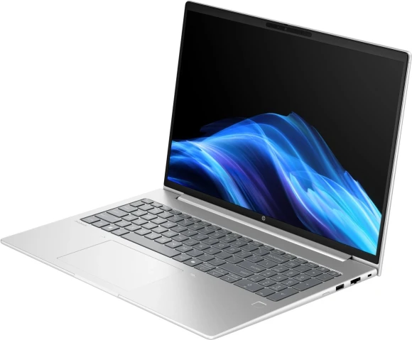 Ноутбук HP ProBook 4 G1i Core Ultra 5 225U 16Gb SSD256Gb Intel Graphics 16" IPS WUXGA (1920x1200) Windows 11 Pro silver WiFi BT Cam (BB3Q4UT)