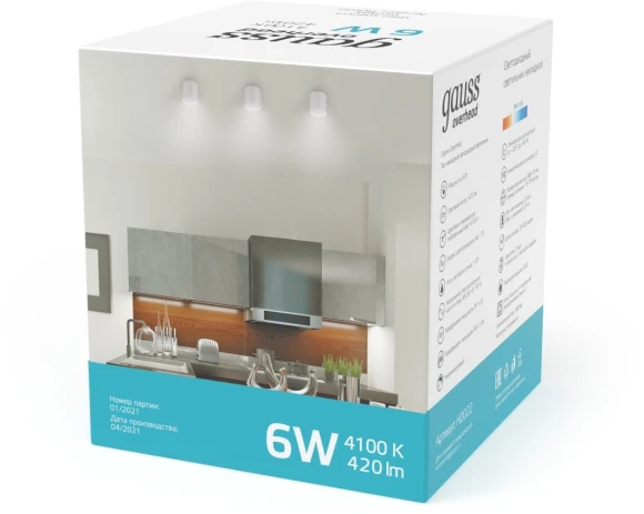 Светильник Gauss Overhead потолоч. 6Вт 4100K цв.св.:белый нейтральный белый (HD022)