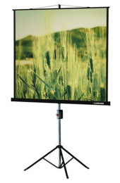 Экран на треноге Lumien 67" 127x127см Master View LMV-100101 1:1 напольный рулонный