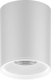 Светильник Gauss Overhead потолоч. белый (HD011) Светильник Gauss Overhead потолоч. белый (HD011)