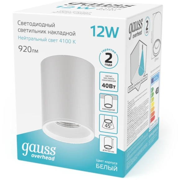 Светильник Gauss Overhead потолоч. белый (HD011)