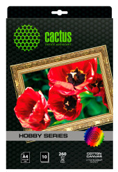 Холст Cactus CS-CA426010 A4/260г/м2/10л. для струйной печати Холст Cactus CS-CA426010 A4/260г/м2/10л. для струйной печати