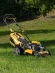 Газонокосилка роторная Denzel GLR-510SP-K (58804)