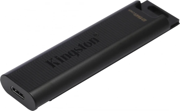 Флеш Диск Kingston 256Gb DataTraveler Type-C Max DTMAX/256GB USB3.2 черный