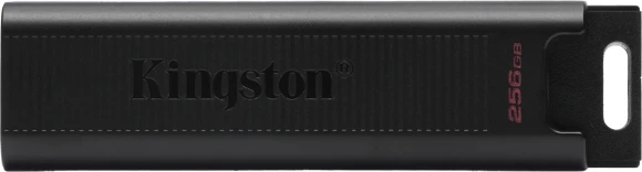 Флеш Диск Kingston 256Gb DataTraveler Type-C Max DTMAX/256GB USB3.2 черный