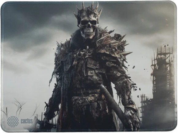 Коврик для мыши Cactus Sking 400x300x3мм (CS-MP-PRO09XL) Коврик для мыши Cactus Sking 400x300x3мм (CS-MP-PRO09XL)