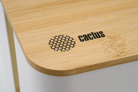 Органайзер Cactus CS-BOX-WH белый/бамбук Органайзер Cactus CS-BOX-WH белый/бамбук