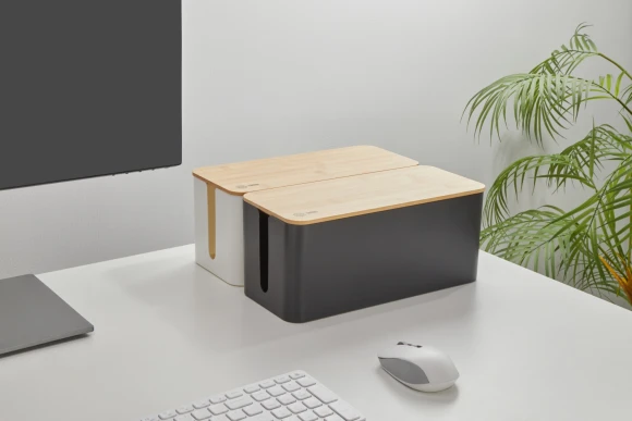 Органайзер Cactus CS-BOX-WH белый/бамбук Органайзер Cactus CS-BOX-WH белый/бамбук