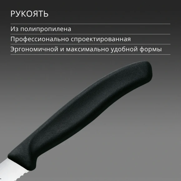 Нож кухонный Victorinox Swiss Classic 6.7233 для стейка/пиццы лезв.110мм серрейт. заточка черный