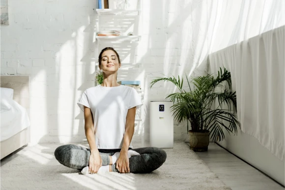 Воздухоочиститель Karcher AF 30 36Вт белый (1.024-821.0) Воздухоочиститель Karcher AF 30 36Вт белый (1.024-821.0)