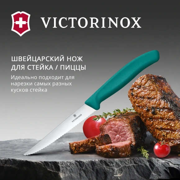 Нож кухонный Victorinox Swiss Classic 6.7234.C1 для стейка/пиццы лезв.110мм серрейт. заточка зеленый Нож кухонный Victorinox Swiss Classic 6.7234.C1 для стейка/пиццы лезв.110мм серрейт. заточка зеленый