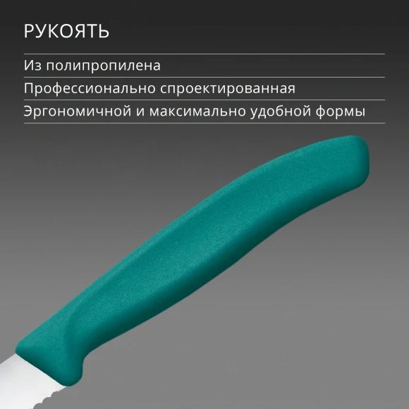 Нож кухонный Victorinox Swiss Classic 6.7234.C1 для стейка/пиццы лезв.110мм серрейт. заточка зеленый Нож кухонный Victorinox Swiss Classic 6.7234.C1 для стейка/пиццы лезв.110мм серрейт. заточка зеленый