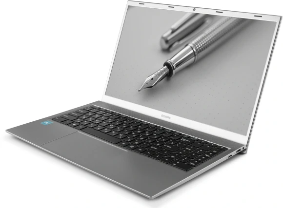 Ноутбук Echips Envy NB156A Celeron N5095 8Gb SSD240Gb Intel UHD Graphics 15.6" IPS FHD (1920x1080) Windows 11 Home grey WiFi BT Cam 4500mAh