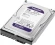 Жесткий диск WD SATA-III 1TB WD11PURZ Surveillance Purple (5400rpm) 64Mb 3.5" Жесткий диск WD SATA-III 1TB WD11PURZ Surveillance Purple (5400rpm) 64Mb 3.5"