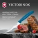 Нож кухонный Victorinox Swiss Classic 6.7232.C1 стальной универсальный для стейка/пиццы лезв.110мм серрейт. заточка синий