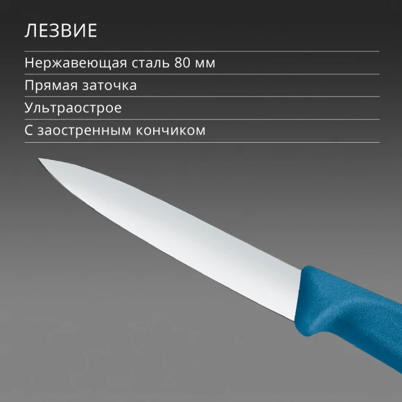 Нож кухонный Victorinox Swiss Classic 6.7602.C1 для чистки овощей и фруктов лезв.80мм прямая заточка синий Нож кухонный Victorinox Swiss Classic 6.7602.C1 для чистки овощей и фруктов лезв.80мм прямая заточка синий