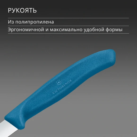 Нож кухонный Victorinox Swiss Classic 6.7602.C1 для чистки овощей и фруктов лезв.80мм прямая заточка синий Нож кухонный Victorinox Swiss Classic 6.7602.C1 для чистки овощей и фруктов лезв.80мм прямая заточка синий