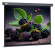 Экран Cactus 71" 127x127см Wallscreen CS-PSW-127X127-SG 1:1 настенно-потолочный рулонный серый