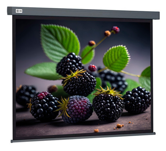 Экран Cactus 71" 127x127см Wallscreen CS-PSW-127X127-SG 1:1 настенно-потолочный рулонный серый