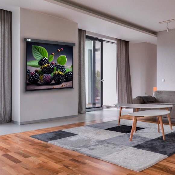 Экран Cactus 71" 127x127см Wallscreen CS-PSW-127X127-SG 1:1 настенно-потолочный рулонный серый