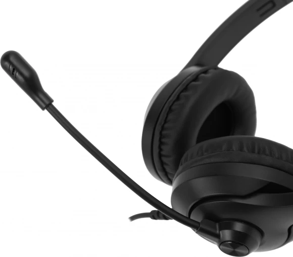Наушники с микрофоном A4Tech Fstyler FH100 черный 2м накладные оголовье (FH100 (STONE BLACK)) Наушники с микрофоном A4Tech Fstyler FH100 черный 2м накладные оголовье (FH100 (STONE BLACK))