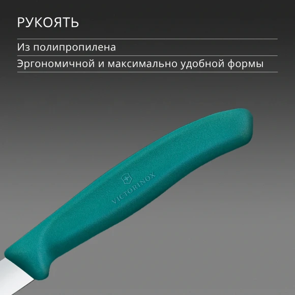Нож кухонный Victorinox Swiss Classic 6.7604.C1 для чистки овощей и фруктов лезв.80мм прямая заточка зеленый Нож кухонный Victorinox Swiss Classic 6.7604.C1 для чистки овощей и фруктов лезв.80мм прямая заточка зеленый