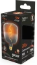 Лампа филам. Gauss Filament V140 5Вт цок.:E27 шар 220B св.свеч.бел.теп. (упак.:1шт) (1008802105) Лампа филам. Gauss Filament V140 5Вт цок.:E27 шар 220B св.свеч.бел.теп. (упак.:1шт) (1008802105)