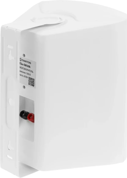 Громкоговоритель Tantos TSo-SW30k настенный 30Вт белый (00-00006480)