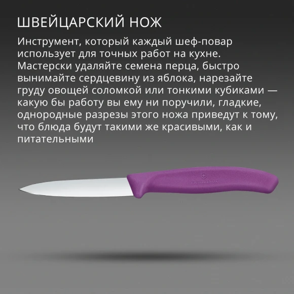 Нож кухонный Victorinox Swiss Classic 6.7605.C1 для чистки овощей и фруктов лезв.80мм прямая заточка пурпурный Нож кухонный Victorinox Swiss Classic 6.7605.C1 для чистки овощей и фруктов лезв.80мм прямая заточка пурпурный