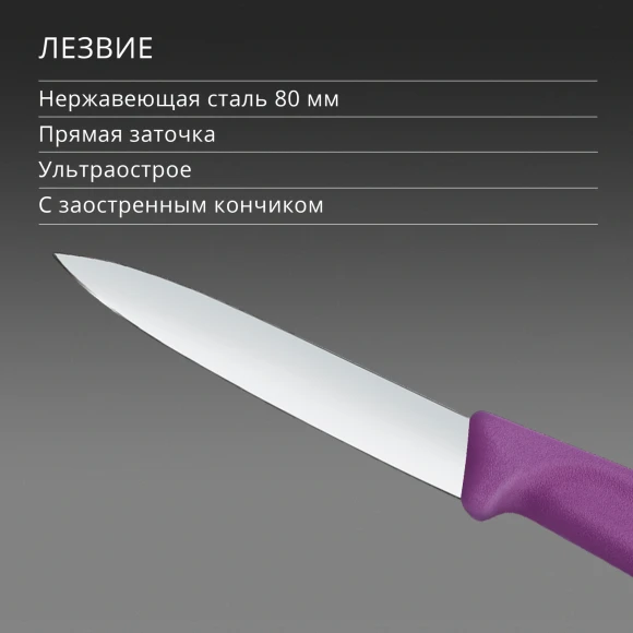 Нож кухонный Victorinox Swiss Classic 6.7605.C1 для чистки овощей и фруктов лезв.80мм прямая заточка пурпурный Нож кухонный Victorinox Swiss Classic 6.7605.C1 для чистки овощей и фруктов лезв.80мм прямая заточка пурпурный