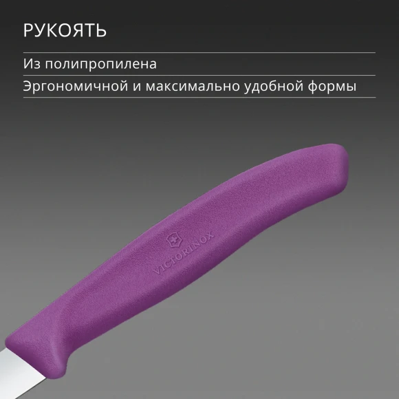 Нож кухонный Victorinox Swiss Classic 6.7605.C1 для чистки овощей и фруктов лезв.80мм прямая заточка пурпурный Нож кухонный Victorinox Swiss Classic 6.7605.C1 для чистки овощей и фруктов лезв.80мм прямая заточка пурпурный