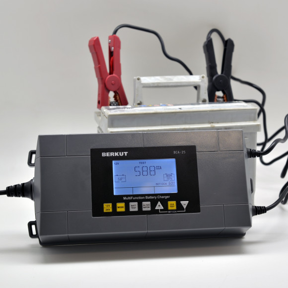 Зарядное устройство Berkut BCA-25