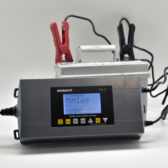 Зарядное устройство Berkut BCA-25