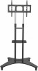 Стойка для телевизора Cactus CS-ST31 черный 37"-75" макс.81.6кг напольный мобильный Стойка для телевизора Cactus CS-ST31 черный 37"-75" макс.81.6кг напольный мобильный
