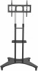 Стойка для телевизора Cactus CS-ST31 черный 37"-75" макс.81.6кг напольный мобильный Стойка для телевизора Cactus CS-ST31 черный 37"-75" макс.81.6кг напольный мобильный