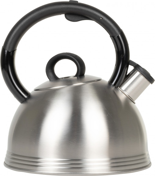 Чайник металлический Rondell Premiere RDS-237 2.4л. стальной