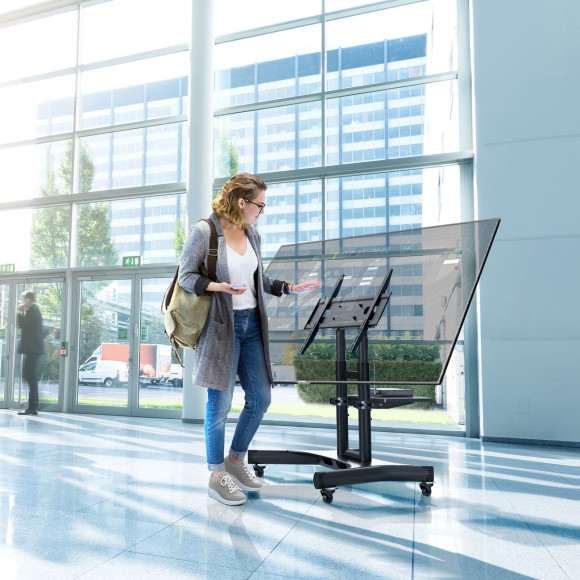 Стойка для телевизора Onkron TS1350 черный 32"-70" макс.45кг напольный мобильный