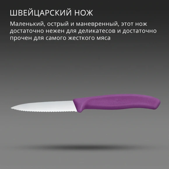 Нож кухонный Victorinox Swiss Classic (6.7635.C1) для чистки овощей и фруктов лезв.80мм серрейт. заточка пурпурный Нож кухонный Victorinox Swiss Classic (6.7635.C1) для чистки овощей и фруктов лезв.80мм серрейт. заточка пурпурный