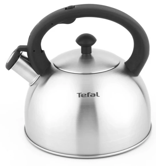 Чайник металлический Tefal Wawe N4210117 2.5л. серебристый (3110602015) Чайник металлический Tefal Wawe N4210117 2.5л. серебристый (3110602015)