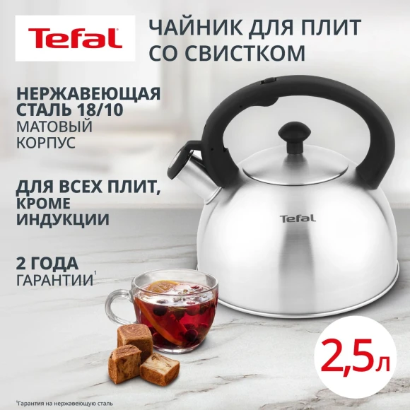 Чайник металлический Tefal Wawe N4210117 2.5л. серебристый (3110602015) Чайник металлический Tefal Wawe N4210117 2.5л. серебристый (3110602015)