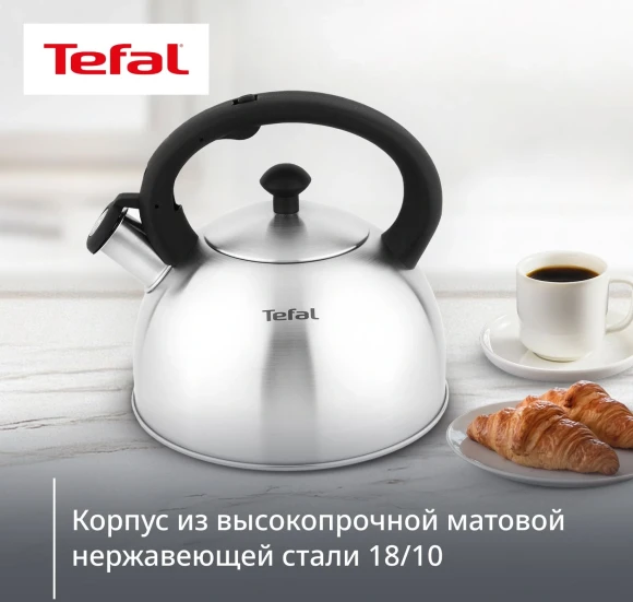 Чайник металлический Tefal Wawe N4210117 2.5л. серебристый (3110602015) Чайник металлический Tefal Wawe N4210117 2.5л. серебристый (3110602015)